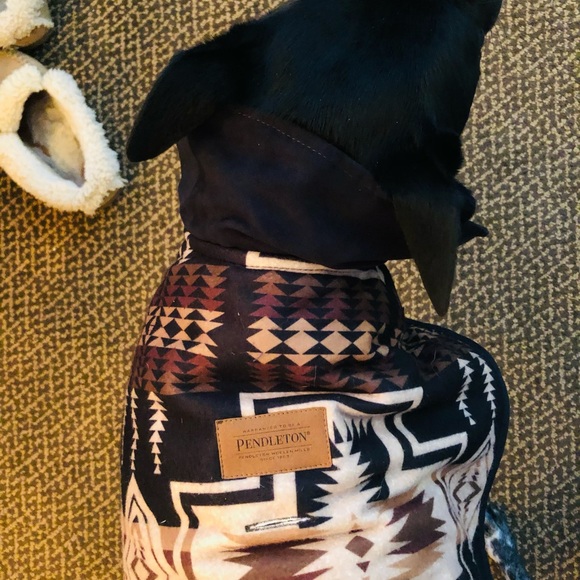 Pendleton Dog jacket - Picture 2 of 2